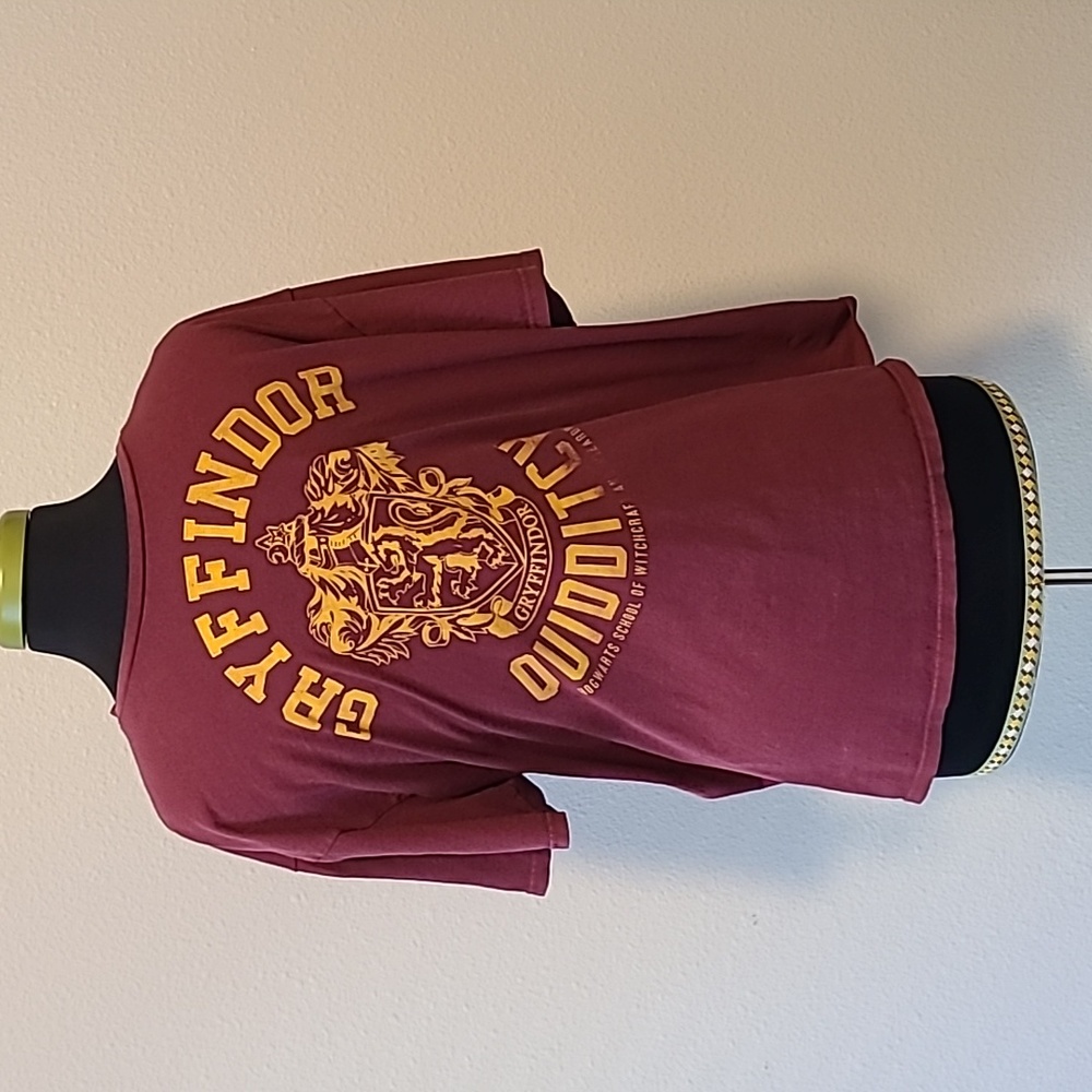 Catch the Snitch! Men's Gryffindor Quidditch Tee - Size XL